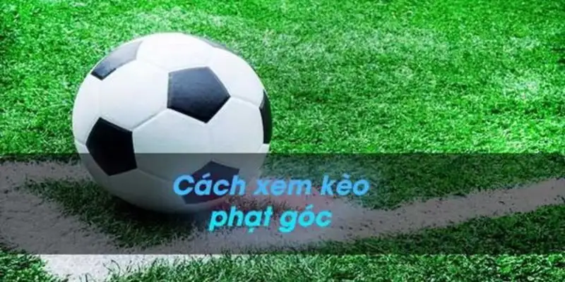 Làm thế nào để xem kèo phạt góc một cách dễ dàng khi đặt cược tại nhà cái WI88