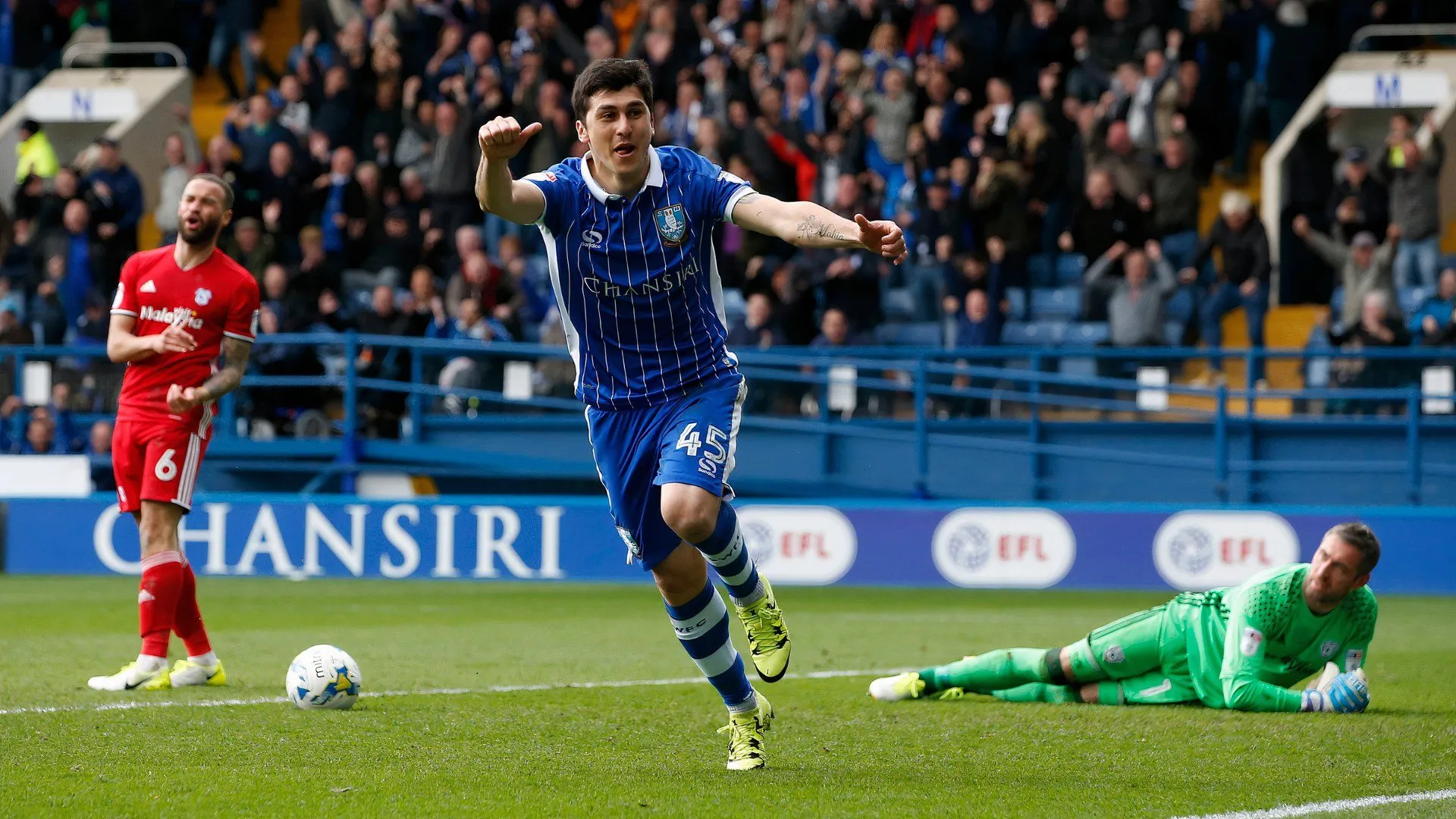 Fernando Forestieri thi đấu nỗ lực cho Sheffield Wednesday tại Championship