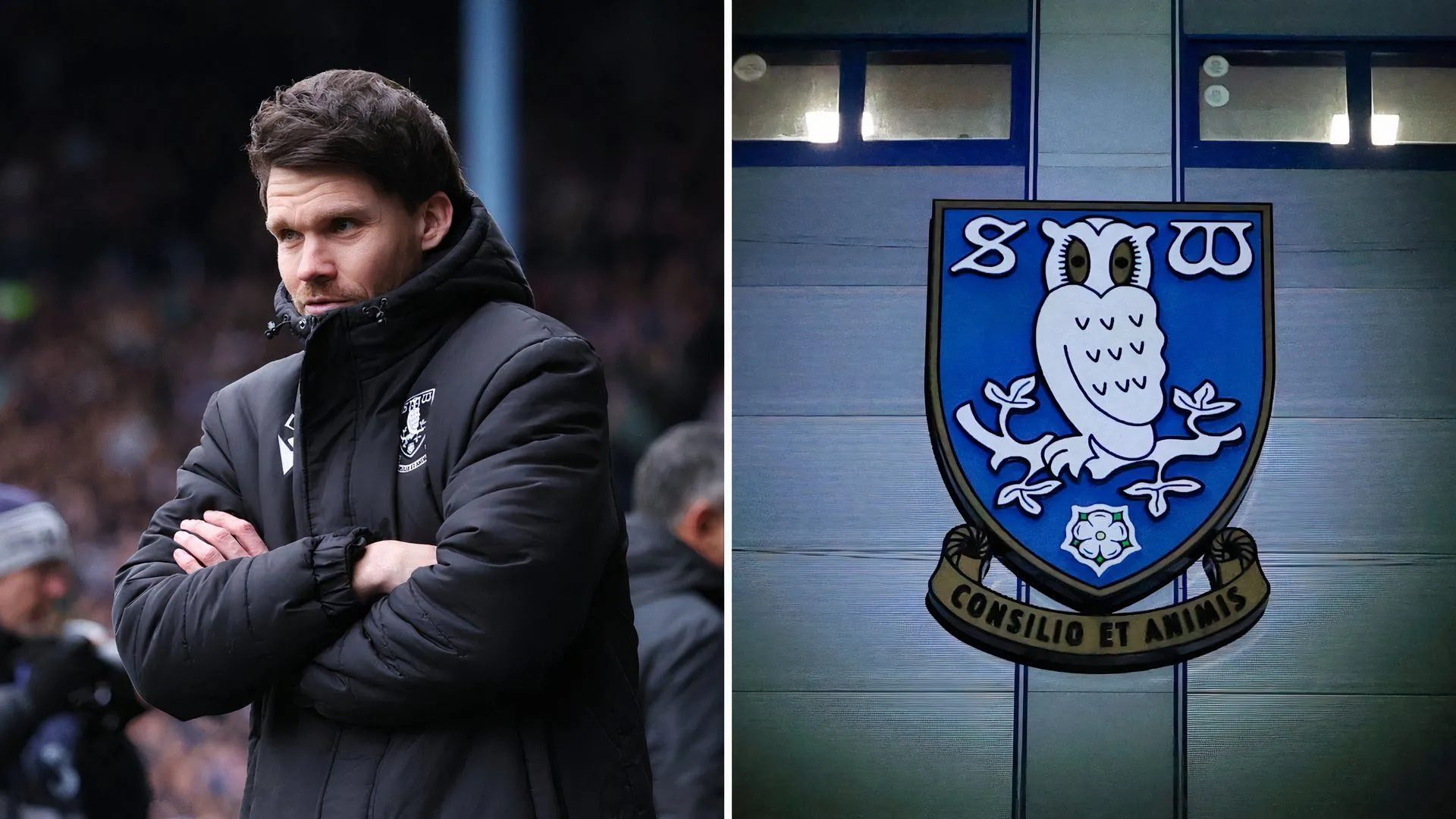 HLV Danny Rohl của Sheffield Wednesday