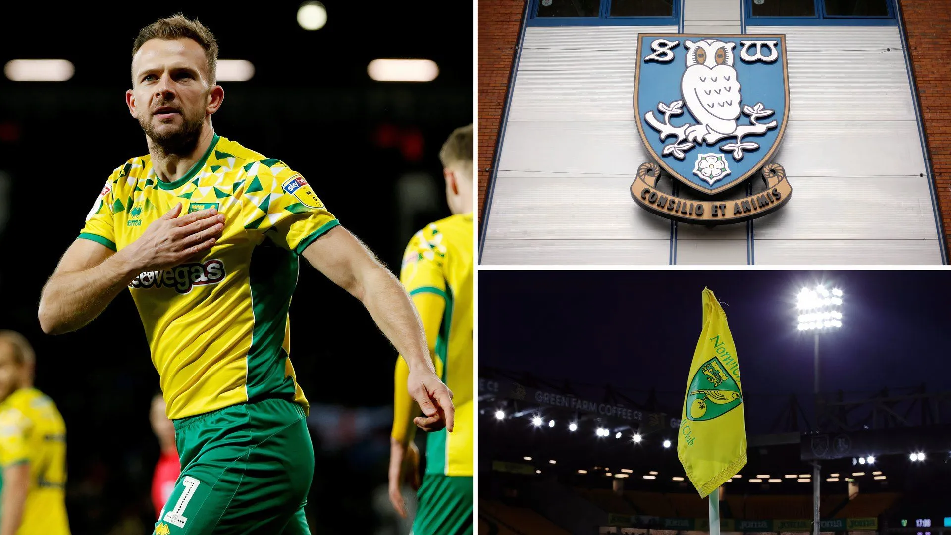 Jordan Rhodes trong màu áo Norwich City khi được cho mượn từ Sheffield Wednesday