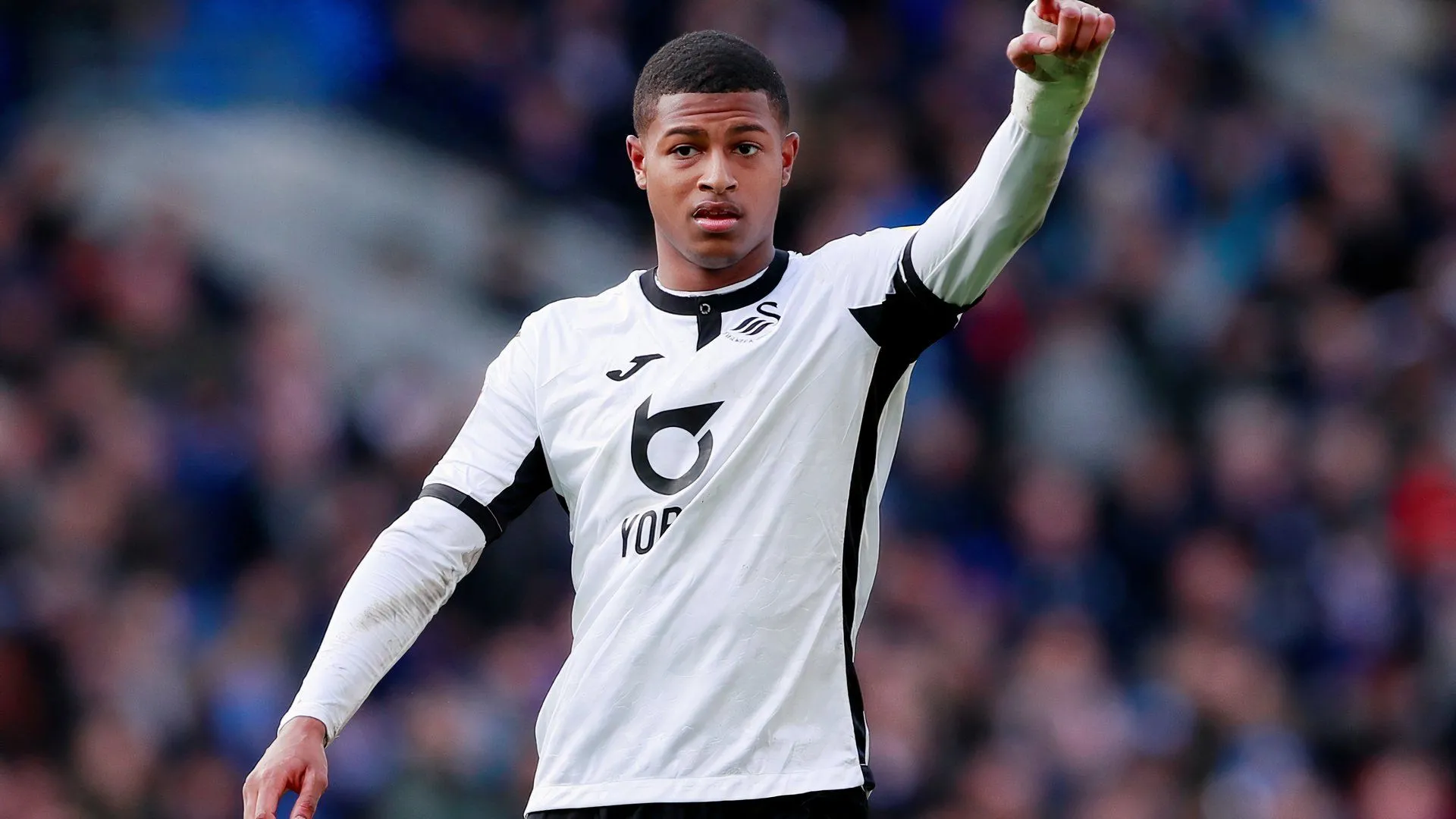 Rhian Brewster ăn mừng bàn thắng khi còn khoác áo Swansea City