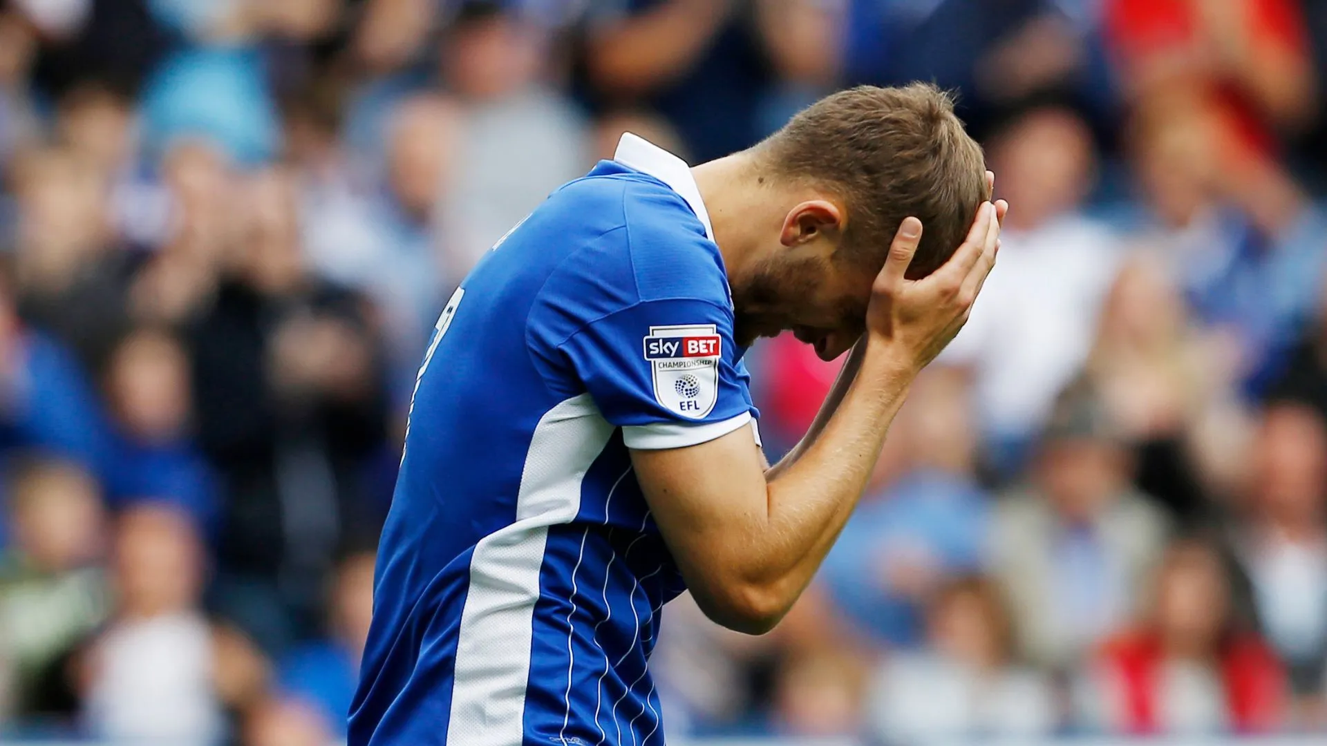 Tiền vệ Almen Abdi, bản hợp đồng thất vọng của Sheffield Wednesday